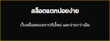 รูปภาพ ไม่มี&nbsp;ไม่มี&nbsp;ไม่มี&nbsp;พัฒนา&nbsp;พัฒนา&nbsp;พัฒนา&nbsp;