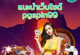 รูป แนะนำเว็บไซต์-pgspin99